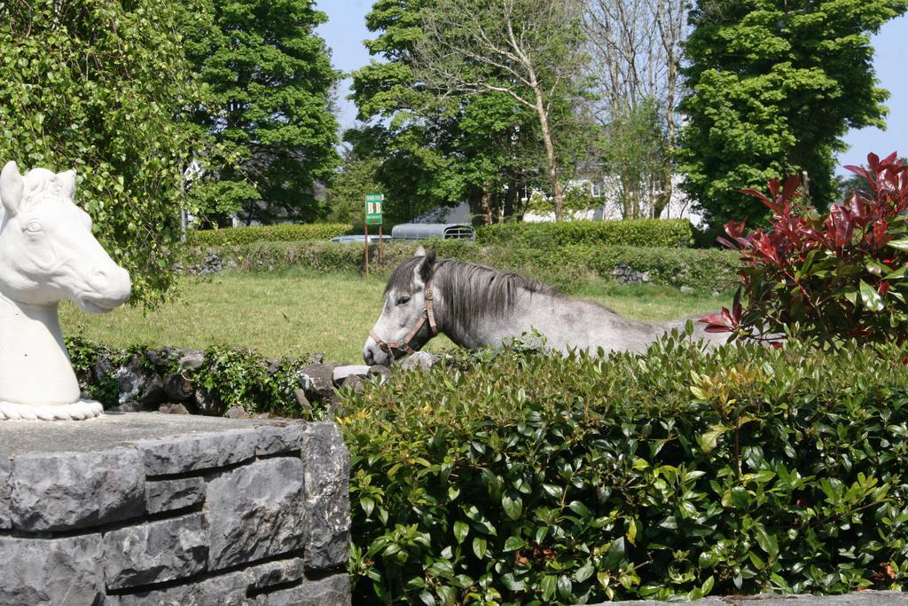 Carrowntober House B & B Oughterard Luaran gambar