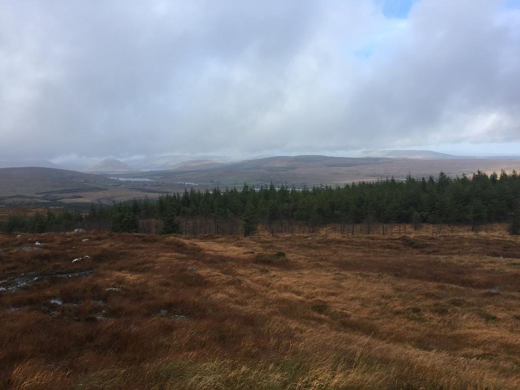 Carrowntober House B & B Oughterard Luaran gambar